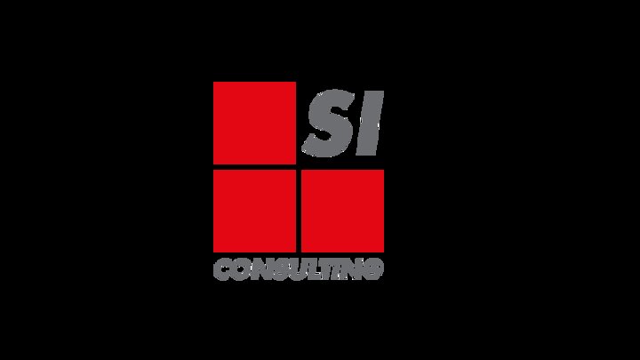 Logo SI-Consulting